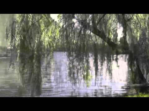 Carlos Guastavino: Bonita rama de sauce