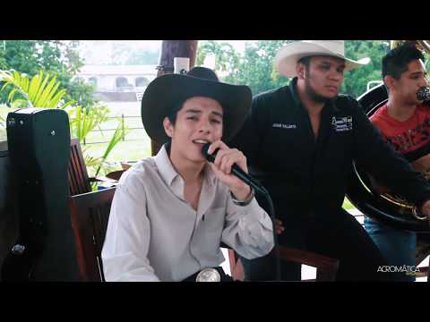 download lagu mp3 mp4 Armando Mendoza, download mp3 Armando Mendoza free download, download mp3 Armando Mendoza