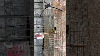 Download lagu pancingan sogon bahan agar bunyi mp3