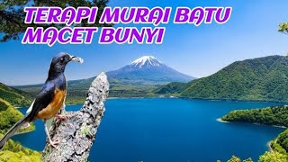 Download lagu terapi murai batu bongkar isian 100 ampuh  mp3