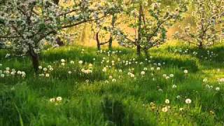 &quot;APRÈS MOI&quot; Mr Enrico Macias   ©