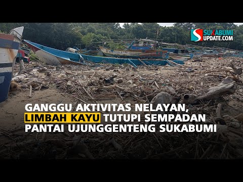Ganggu Aktivitas Nelayan, Limbah Kayu Tutupi Sempadan Pantai Ujunggenteng Sukabumi