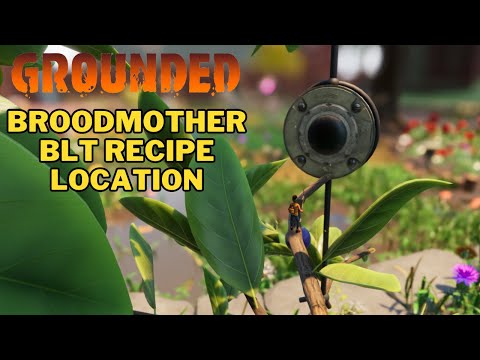 Where To Find Broodmother BLT Recipe Research Notes in Grounded | BLT Recipe Location