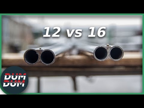 Kalibar 12 i kalibar 16 uporedni test sačme