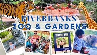 Explore the BEST of Riverbanks Zoo & Garden in 2025 I Columbia SC | Indian Mom in USA Vlogs