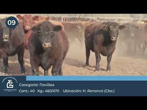 Lote NV  UE NO HILTON - Huinca Renancó Córdoba