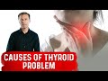 What Are The Real Causes Of Thyroid Problems Dr Berg
