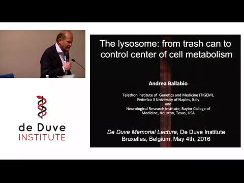 2nd de Duve Lecture - A. Ballabio: The lysosome, from trash can to control center of cell metabolism