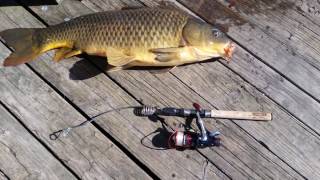 첫 잉어낚시 도전..!!!  First Carp Fishing Ever..!!!