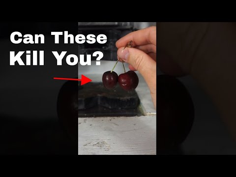 Does Eating Two Cherries Kill You?