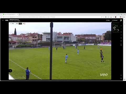 Sličica videa
