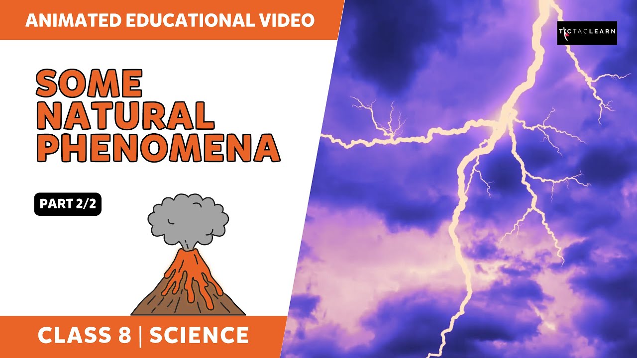 Earthquake and Lightning - Some Natural Phenomena | Part 2/2 | Class 8 Science | TicTacLearn English