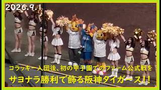 [2026.9.1] 立石選手の猛打賞となるプロ初サヨナラタイムリーで勝利した、試合終了後のコラッキー＆キー太！ ＠阪神甲子園球場～アイビーシート視点～ 【阪神タイガース】