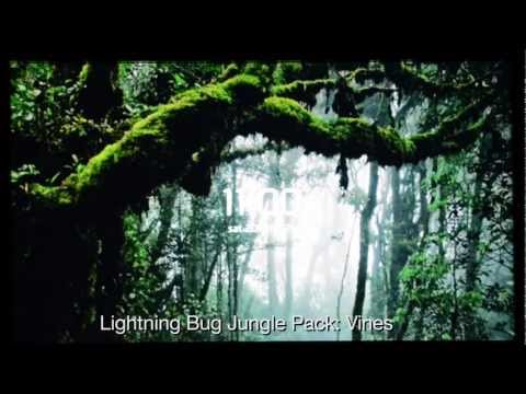 Lightning Bug - Jungle Pack video