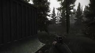 Fortnite/APEX/EFT