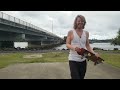 How ANYONE Can Skateboard 100% Safely! (And Why They Should)