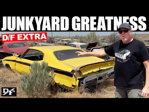 Exploring the LARGEST CLASSIC-CAR JUNKYARD with Freiburger, a D/F Extra