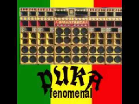 reggae o melô do fuxiqueiro