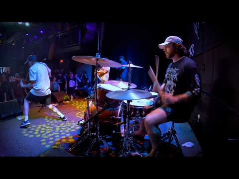 Shibby Pictures and Apes of the State