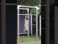 Outdoor fitness træningsstativ – model 1 – trykimprægneret – 179070-1 DETAIL89923
