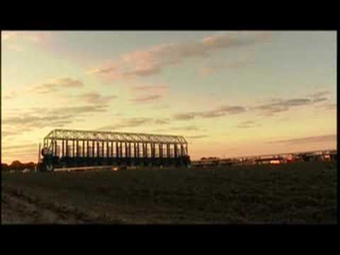 Inside Information - Alysheba