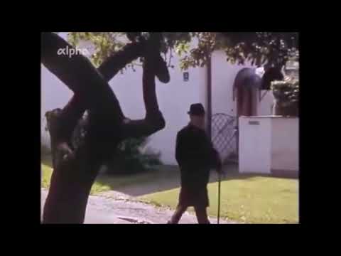 16. Handwerks-Tradition;  Topographie - Der Garten