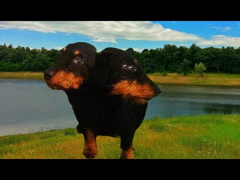 GO DANCE 232425 TEKNO MENTAL