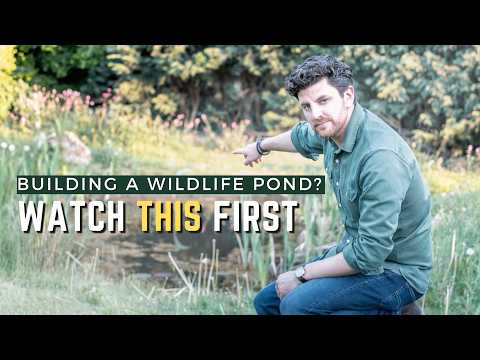 Building a Wildlife Pond: Mistakes I Made and How To Avoid Them
