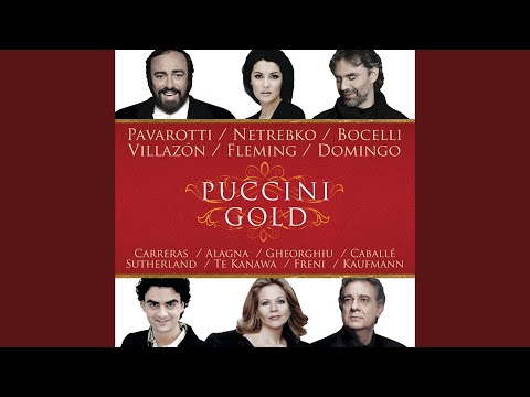 Puccini: La rondine, SC 83 / Act I: "Chi il bel sogno di Doretta"