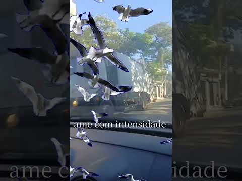 Conceição de Macabu, Cidade onde os meus 4 filhos nasceram. Deixe os inscritos.OG.#Viral...