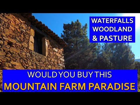 MOUNTAIN FARM HOUSE FOR SALE - WATERFALLS, WOODLAND & PASTURES + CUTE SLATE STONE COTTAGE - PORTUGAL