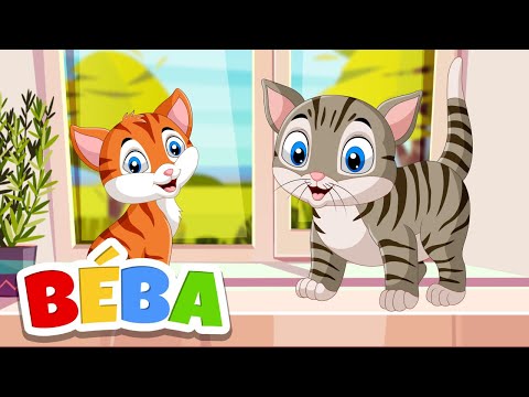 BÉBA - Kočka na okně | Písnička pro děti