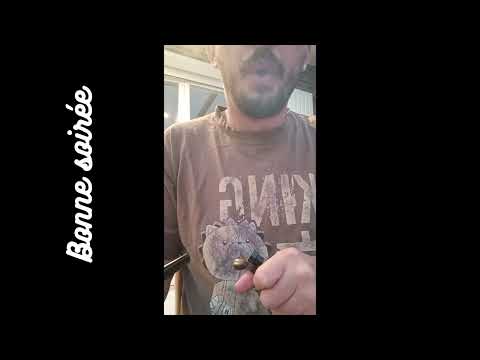 Lotus vaporizer " 2 puffs"