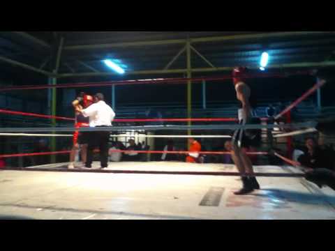 regreso del boby leon