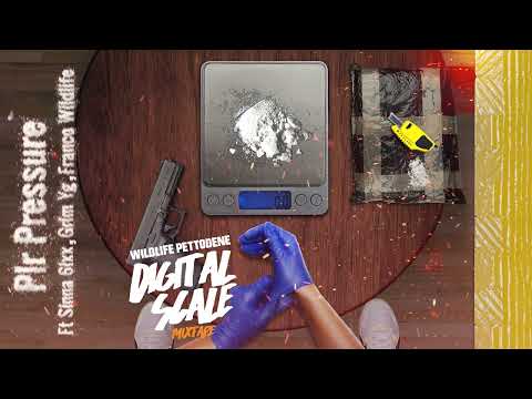 Wildlife Pettodene - PLR Pressure (ft. Sinna 6ixx, Grim YG, Franco Wildlife) (Digital Scale Mixtape)