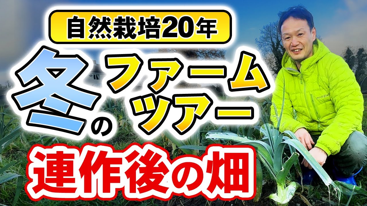 自然農法14年の冬の畑を巡る。連作と自家採種がもたらす土と野菜の力