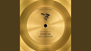 Soul Survivor (NiCe7 Instrumental)