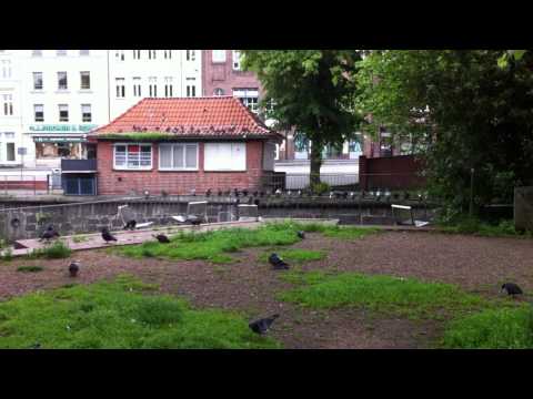 rihanna, robbie williams, linking park, u2, metallica,...