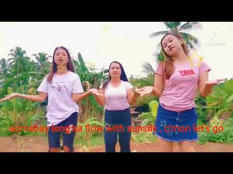 Marketing  Communication Plan (Sunsilk Shampoo Advertisement)