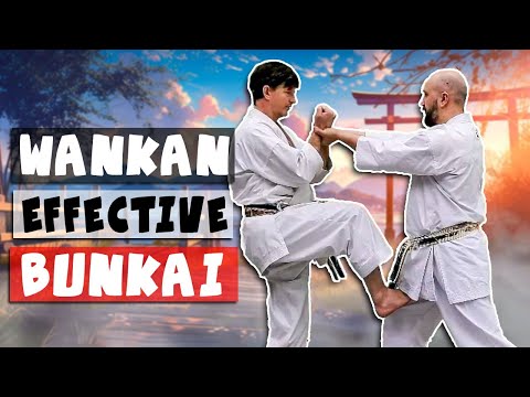 Wankan (王冠) kata bunkai (full kata)