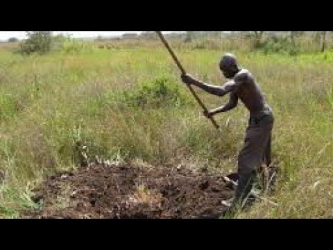 KITEGEZA KI OKULOOTO NG'OLIMA. (DREAMING WHEN DIGGING)