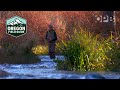 Autumn Splendor On The Deschutes And Metolius Rivers In Central Oregon Oregon Field Guide Archive
