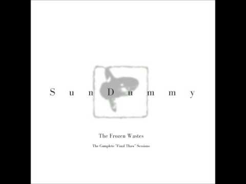 SunDummy -The Frozen Wastes