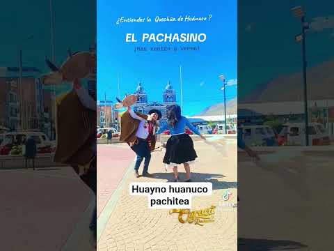 huayno de huanuco pachitea