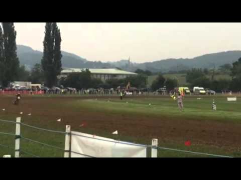 Ledbury MCC Grasstrack, June 13 2015