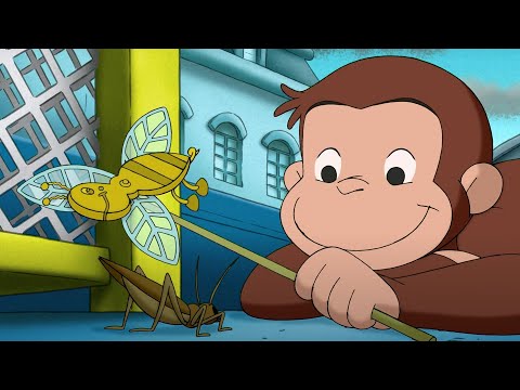 Capa de George o Curioso - Macaco do Tempo