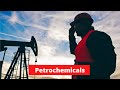 Petrochemicals A Complete Guide To Process Industry TRAILER