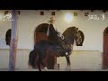 El Mejor Caballo - Yeison Jiménez (Video Oficial) El Mejor Caballo - Yeison Jiménez (Video Oficial)