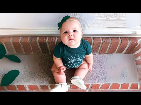 Funniest Baby Videos of the Week  - Try Not To Laugh