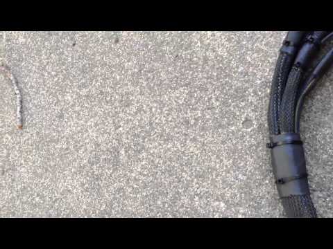 EF B VTEC MIL SPEC TUCK HARNESS